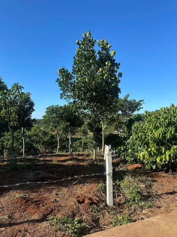ĐẤT VIEW ĐẸP – GẦN ĐÀ LẠT - Sẵn vườn cây ăn trái. Giá 2.65 tỷ. DT 1458m2. Phù hợp làm nhà nghỉ dưỡng
