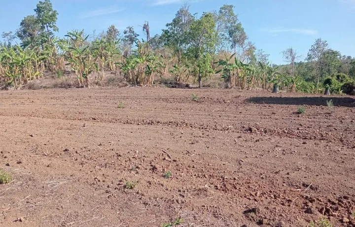 💥 8,8ha đất trống đã có sổ đầy đủ