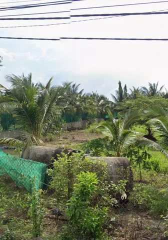 Cần bán đất vườn.