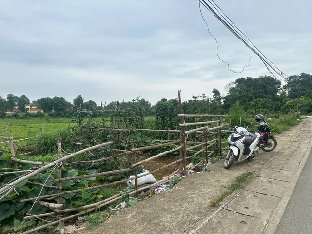 Chính Chủ em bán mảnh đất 100m full thổ trục chính đường Cổ Đông