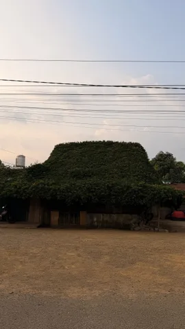 Cần Tách Nhỏ Bán đất 120m² full thổ cư ngang 6m Mặt Đường 8m Nhựa Liên Thôn Xã Lộc An