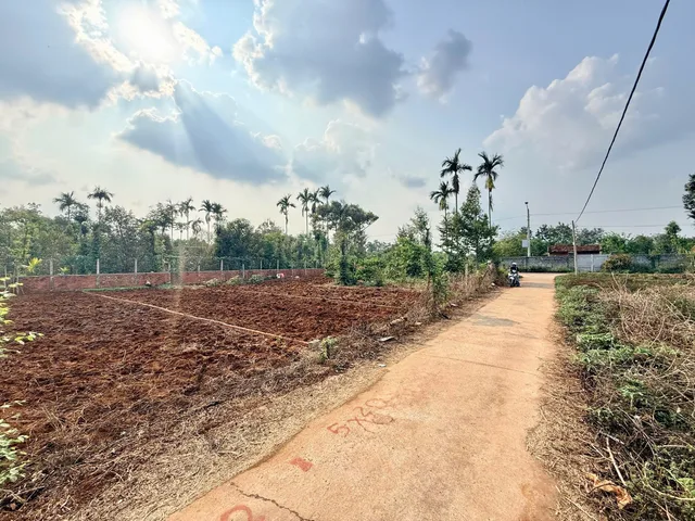 Bán đất 100m² có sẵn 60m² thổ cư ngang 5m giá 790 triệu tại Phường Tân An
