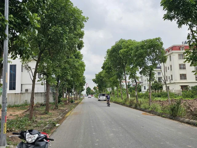 Bán đất khu đại hoàng long đường ký thánh tông dt 348m2 + mt 15m + hướng Đn giá 30.6 tỷ
