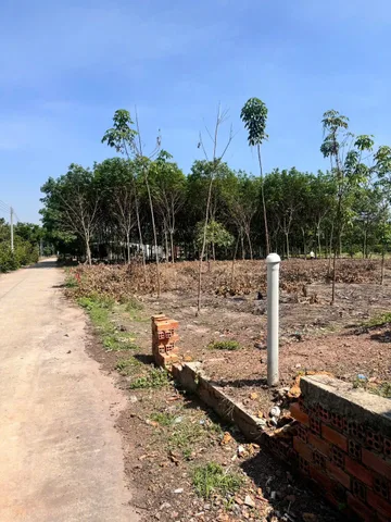 Bán cặp đất An Linh Phú Giáo 230m² có 100m² thổ cư giá chỉ 700 triệu, Sổ hồng riêng