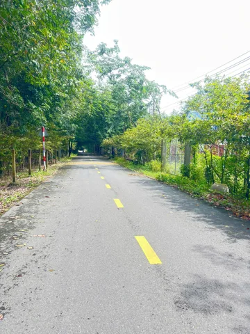 614m2 Đất An Điền , Bến Cát - Ngay Lộ 7A Đi Vào - Giá 3 tỷ 5