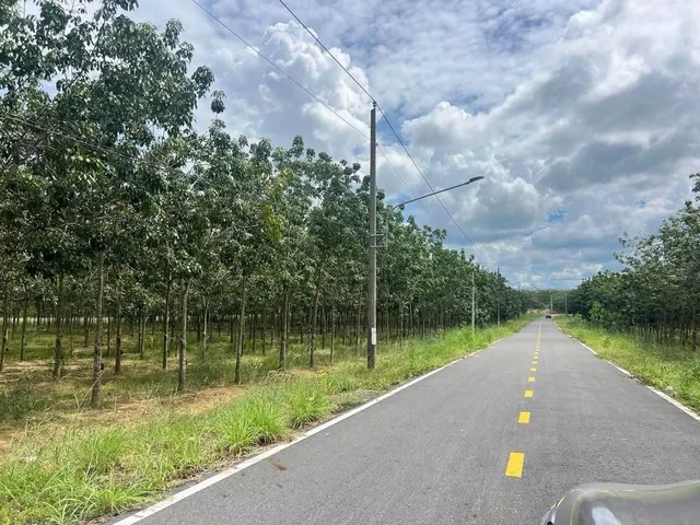 Bác 9 em định cư bên nước ngoài gửi bán nhanh lô đất đường huyện 400m2 SHR giá bán nhanh 525tr