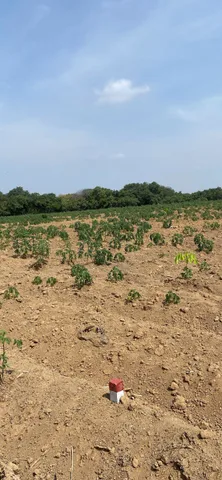 Bán đất 1000m² ngang 10m giá 175 triệu tại Xã Tân Lợi