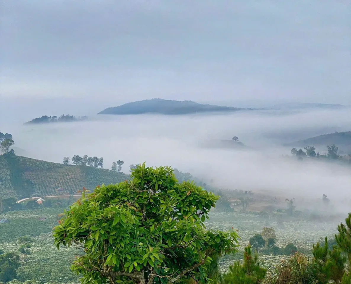 Đất ngay trung tâm Nam Hà chỉ 2km. View săn mây mỗi ngày. Giá với 570 Triệu