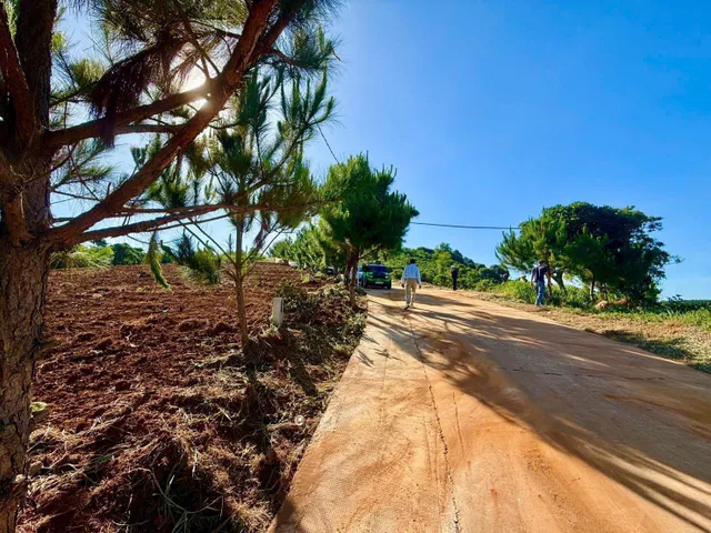 Đất ngay trung tâm Nam Hà chỉ 2km. View săn mây mỗi ngày. Giá với 570 Triệu