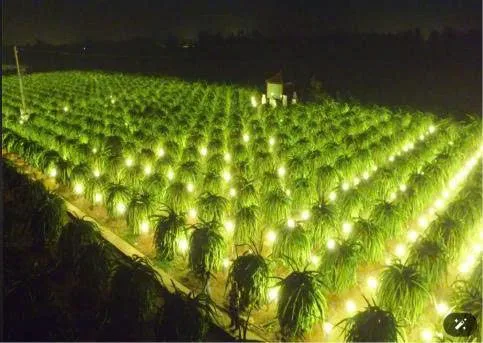 Bán đất 1800m² ngang 40m giá 150 triệu tại Xã Hàm Thạnh