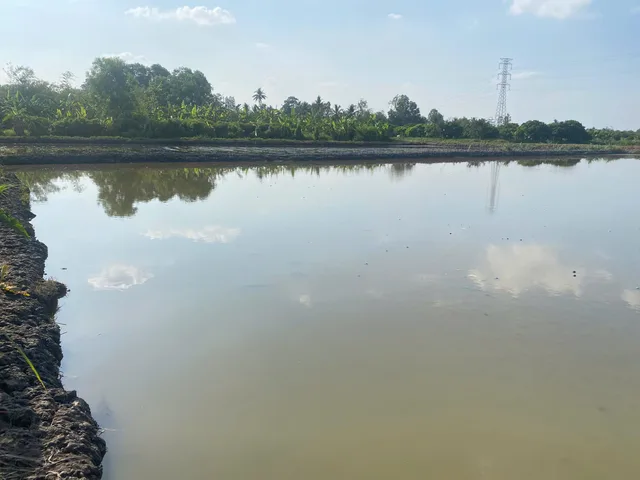 Bán đất 1870m² ngang 4m giá 950 triệu tại Đường Nhựa Phường Tân Hạnh