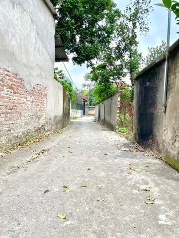 Bán Đất Trung Tâm Như Quỳnh - 300m² Thổ Cư - Giá Cực Sốc: 0835459289