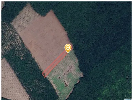 Bán đất 1885,8m² ngang 13,2m giá 842 triệu tại Xã Phước Thành