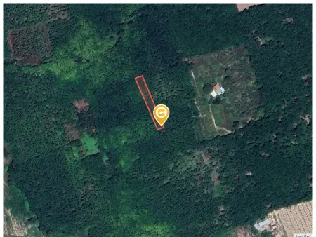 Bán đất 851m² ngang 9,8m tại Xã Phước Thành