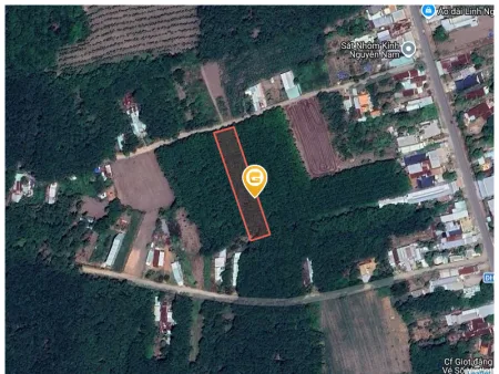 Bán đất 260m² có sẵn 100m² thổ cư ngang 5m tại Xã An Long