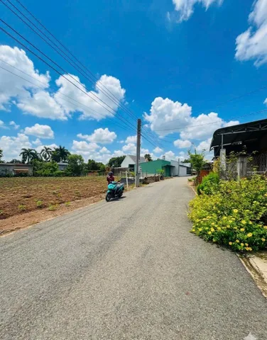Bán đất 260m² có sẵn 100m² thổ cư ngang 5m tại Xã An Long