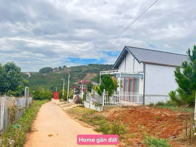 Quá Khó Khăn Đành Phải Bán Lỗ Đậm Sâu Miếng 2000m2 Chỉ 501tr