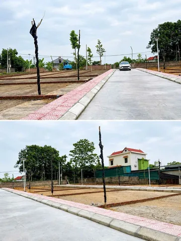 Nhỉnh 1 tỷ sở hữu đất nền phân lô từ 100-200m2 full thổ cư tại Cẩm Lĩnh - Phù hợp nhiều mô hình.