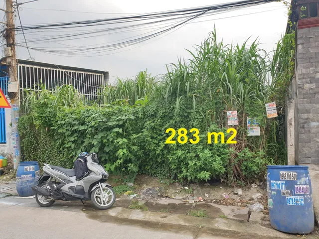 Bán đất thổ cư gần chợ chiều Tân Phú Trung, Củ Chi, 284m², Gần Vành Đai 3-Vinhomes Hóc Môn, 6.1 tỷ