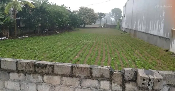ĐẤT ĐẸP – GIÁ ĐẦU TƯ – CHÍNH CHỦ CẦN BÁN LÔ ĐẤT TẠI THÔN PHÚ THỊNH, XÃ HẢI LĨNH, THỊ XÃ NGHI SƠN, THANH HÓA