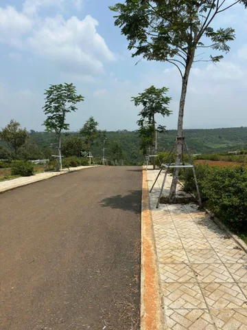 Đất ven Đà Lạt – giá mềm chỉ từ 2xx triệu, đầu tư nghỉ dưỡng quá đẹp