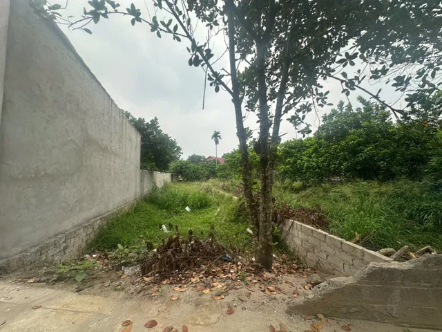 🔥 ĐẤT DÂN CẮT BÁN 128m² FULL THỔ CỔ ĐÔNG – GIÁ MỀM HƠN THỊ TRƯỜNG 3x TRIỆU/m² 🔥