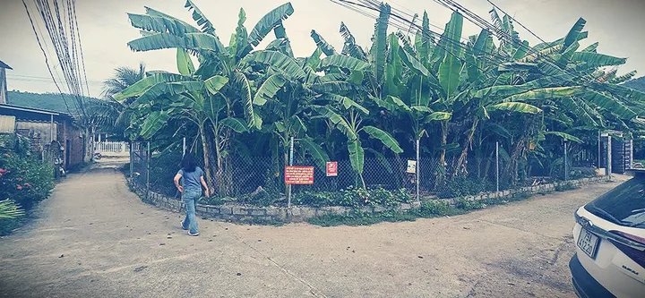 Bán Lô Góc 2mt dg Thôn Đắc Lộc, Bắc Nha Trang 
Hai mặt tiền hẻm 3m 
📐 Diện tích: 227,9 m² , hai mặt tiền hẻm ô tô 3m . Cách mặt tiền quốc lộ một căn nhà .