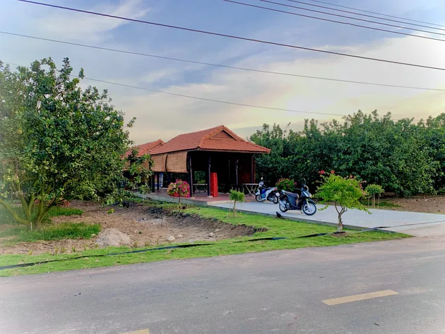 Bán đất có sẵn bưởi ở trên đất