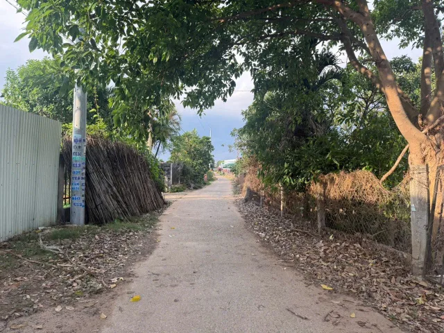 Ngã ba Hoa mặt trời -xã Đức Trọng - 5134m2