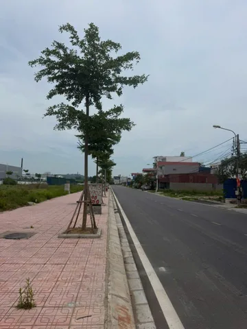 🔥 Bán đất N46 117,5m² full thổ cư ngang 5m giá 4.78 tỷ tại Phường Đồ Sơn (đấu giá Đồng Nẻo)