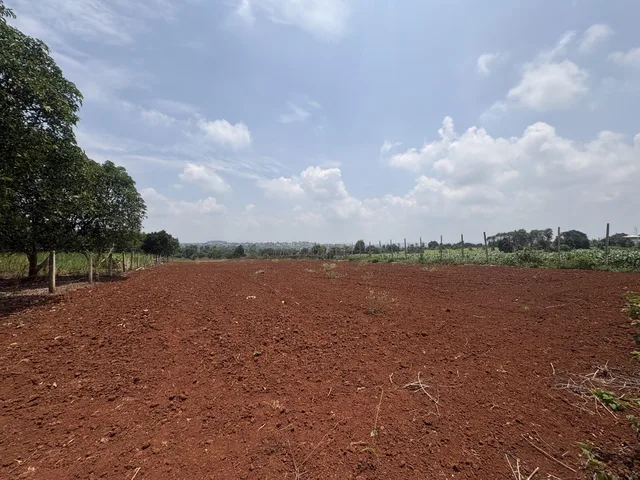 👉 3.200m2 Đất hẻm Trương Định gần hồ câu cá Năm Tân