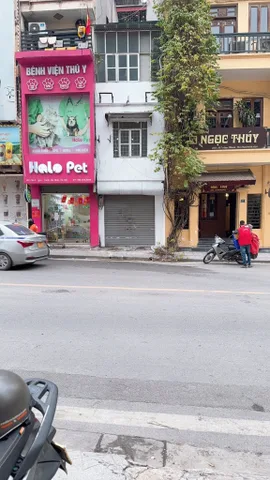 Mình chủ nhà cần bán Nhà mặt phố số 5 Ngọc Khánh vỉa hè rộng kinh doanh đỉnh ô tô tải tránh vị trí đẹp nhất phố.

Nhà 3,5 tầng mình xác định bán đất tặng ￼nhà

Diện tích sổ: 27m², thực tế 37m². Sổ vuông đẹp nở hậu Mặt tiền hơn 3m.

Mặt tiền thoáng,