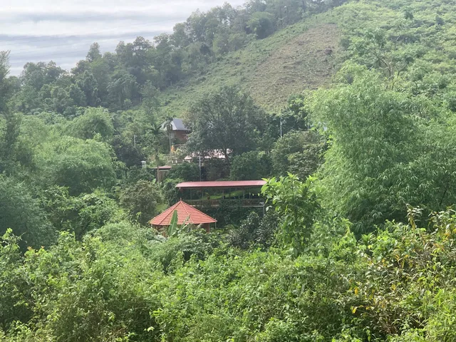Đất vườn kèm thổ cư