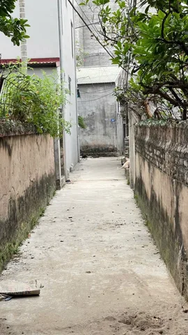 Nhà cấp 4 thông thoáng