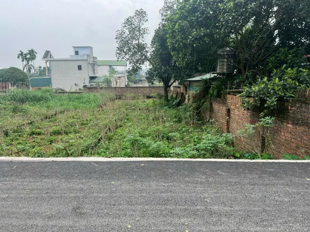 🔥 Lô đất 100m² full thổ tại Hòa Lạc– Giá chỉ 3 tỷ| Gần ĐHQG_ dân cư đông🔥