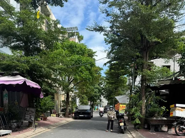 Di cư nước ngoài cần bán lại nhanh mảnh đất nở hậu KDC Kim Sơn giá siêu rẻ