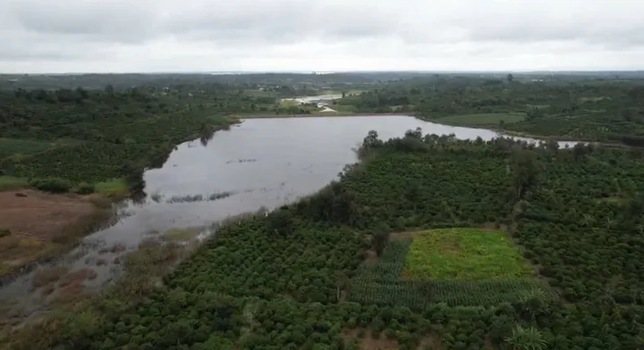 Bán đất 🌳🌳1,75 HA XÃ EA SIÊN THỊ XÃ BUÔN HỒ NGAY ĐẬP NƯỚC EA HUÝCH