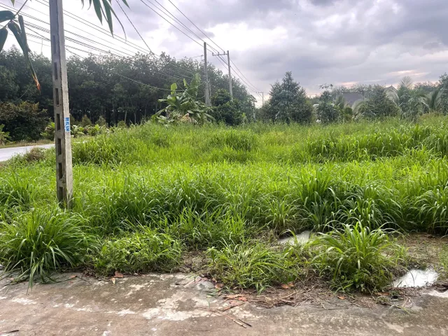 Bán Đất Minh Hưng , Chơn Thành ,DN 
diện tích 5x17 ,Tdt 97m 490tr