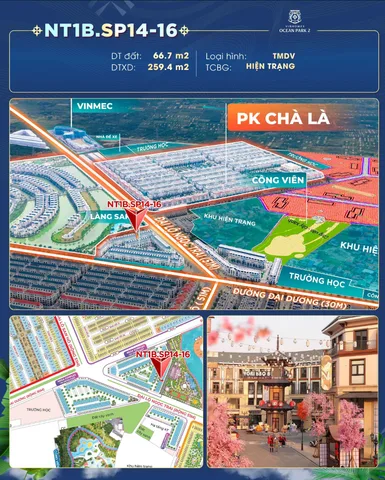 🔥 TMDV ĐÔNG NAM – CƠ HỘI HIẾM DƯỚI 10 TỶ TẠI VINHOMES OCEAN PARK 2