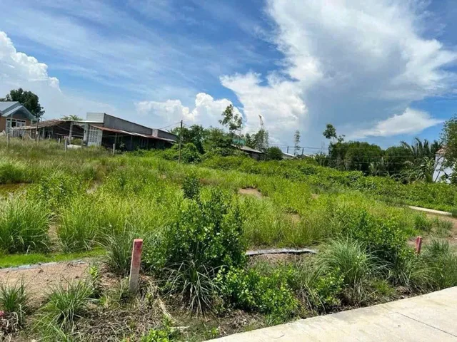 Bán đất 142m² có sẵn 122m² thổ cư ngang 5x24m giá 2.4 tỷ tại Xã An Thới Đông
