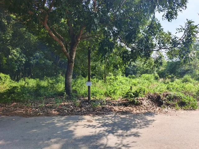 Bán đất 859.3m² có sẵn 200m² thổ cư ngang 10m giá 3.22 tỷ tại Xã Phú Giáo