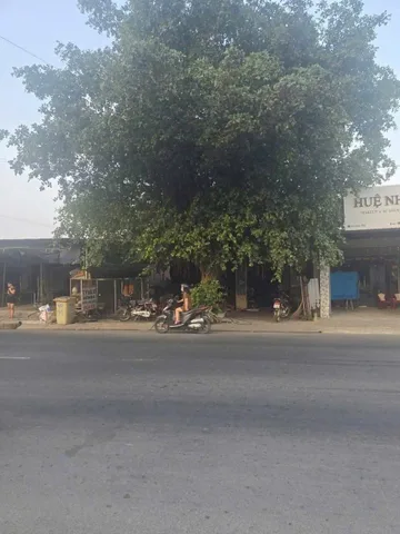 Bán nhà 630m² full thổ cư ngang 9m tại Xã Hậu Nghĩa