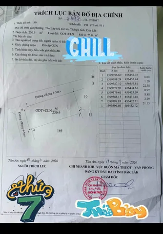 Bán đất 230m² có sẵn 75m² thổ cư ngang 10m giá 2.9 tỷ tại Phường Tân Lập