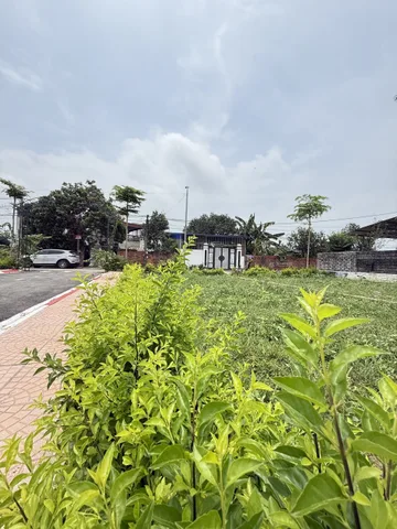 100m Trục chính Trại Hồ, 400m ra trường Lục Quân, 30tr/m
