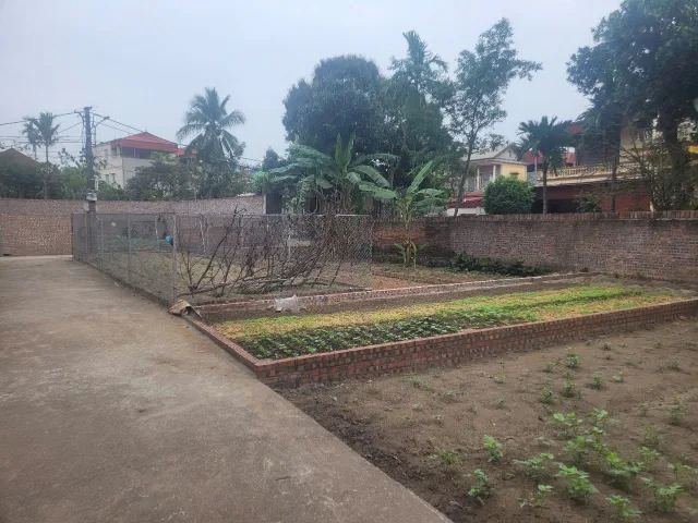Bán đất Đường Nhạn Xuân Nộn (xã Thư Lâm) 48,6m2 đường ô tô giá chỉ đầu 2 tỷ