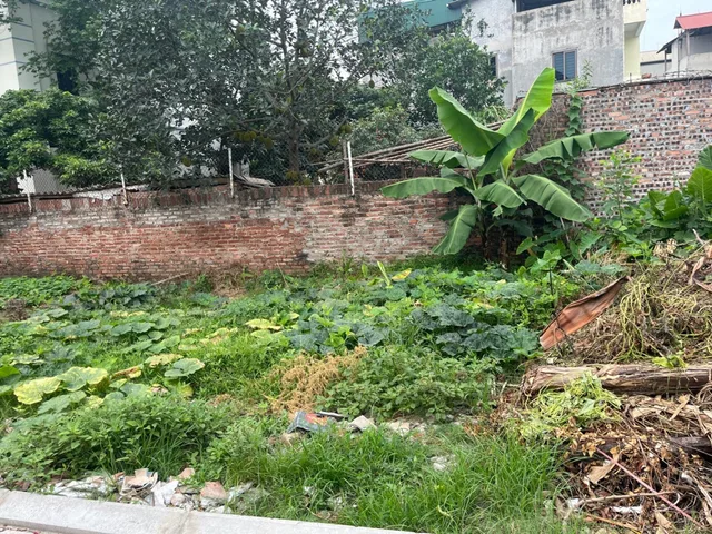SIÊU PHẨM ĐẤT ĐẸP 📣 Ô TÔ VÀO ĐẤT - NGÕ THÔNG TỨ TUNG - 45M2 - NHỈNH 3 TỶ