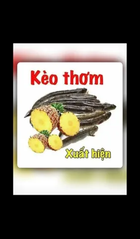 Chính chủ bán gấp 225m2 Thổ Cư TP. Hồ Chí Minh, ngang gần 18m. Đường oto giá 620 Triệu! LH ngay 0903263878 thương lượng trực tiếp.