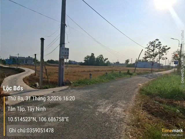 Bán đất mặt tiền nhựa ngang 55m tại Tân Tập, Cần Giuộc phù hợp lên thổ, tách thửa