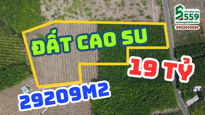 Chính chủ cần bán lô cao su tại Nha Bích, Bình Phước
