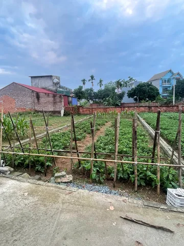 🚨 3 tỷ mua được gì tại Hòa Lạc? – 100m² full thổ cư, mặt tiền hơn 5m tại Phú Cát.